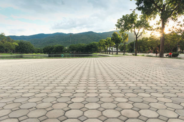 Best Best Driveway Pavers  in East Lexington, VA